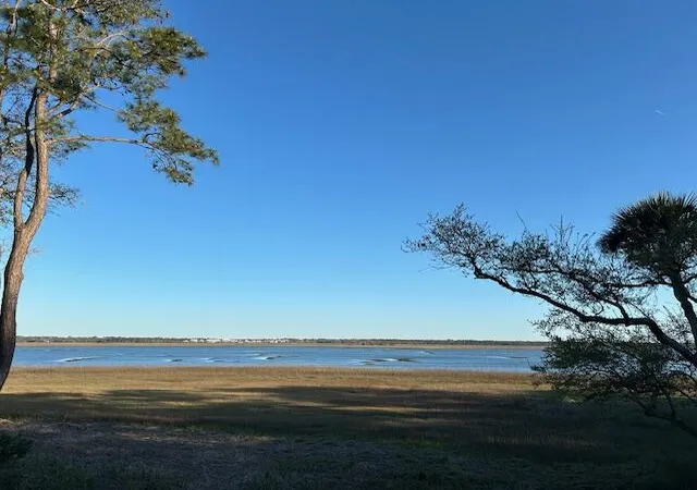 3rd image of 222 Sea Marsh Dr, Johns Island, SC 29455 | MLS# 26007188
