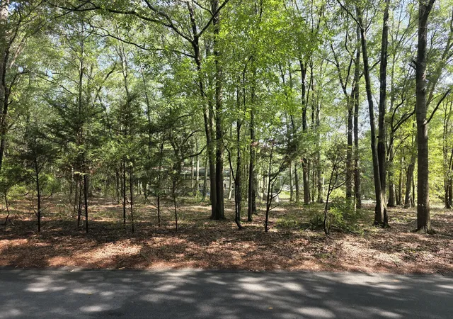 Photo 4 of Land for sale at 129 Knott Dr, Eutawville, SC 29048 | MLS# 26022321 | Listing updated on 2026-10-05