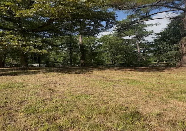 Photo 4 of Land for sale at 209 Claussen St, Summerville, SC 29483 | MLS# 26020861 | Listing updated on 2026-10-08