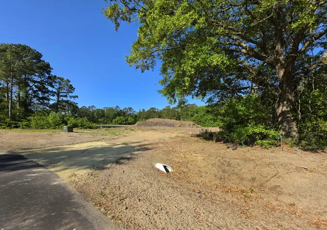 Photo 3 of Land for sale at 3 Harvest Moon Ln, Mc Clellanville, SC 29458 | MLS# 26011415 | Listing updated on 2026-09-16
