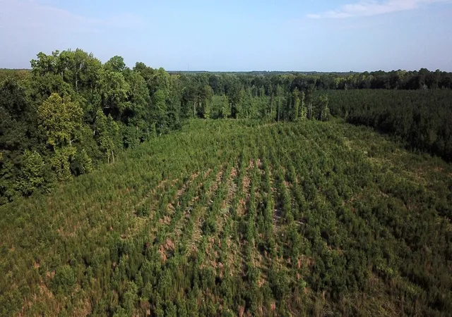 2nd image of 00 Norway Rd, Orangeburg, SC 29115 | MLS# 26023427