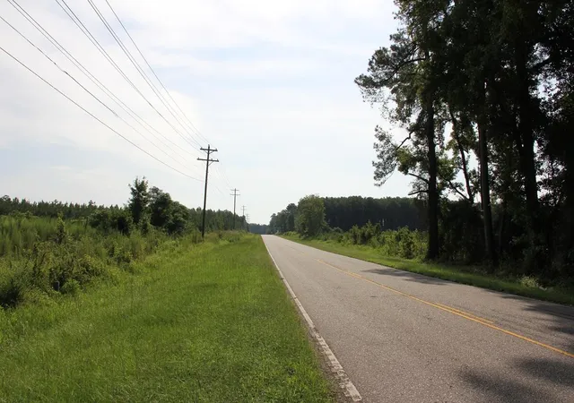 Photo 3 of Land for sale at 00 Norway Rd, Orangeburg, SC 29115 | MLS# 26023427 | Listing updated on 2026-08-18