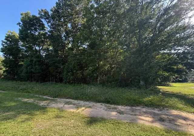 Land for sale at 0 Dora Rd, Orangeburg, SC 29115 | MLS# 26023562