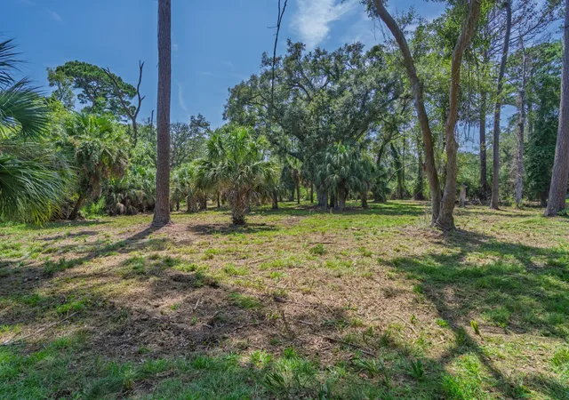 1st image of 0 Palmetto Rd, Edisto Island, SC 29438 | MLS# 26023434