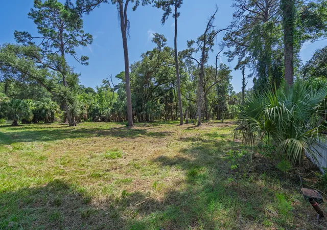 2nd image of 0 Palmetto Rd, Edisto Island, SC 29438 | MLS# 26023434