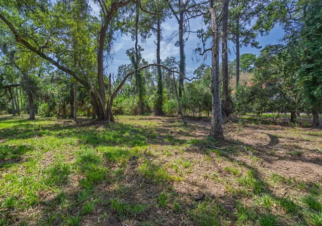 Photo 3 of Land for sale at 0 Palmetto Rd, Edisto Island, SC 29438 | MLS# 26023434 | Listing updated on 2026-08-30