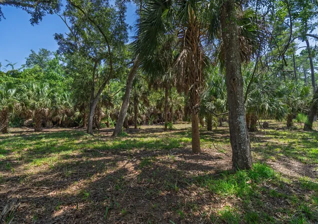 Photo 3 of Land for sale at 0 Palmetto Rd, Edisto Island, SC 29438 | MLS# 26023434 | Listing updated on 2026-08-30