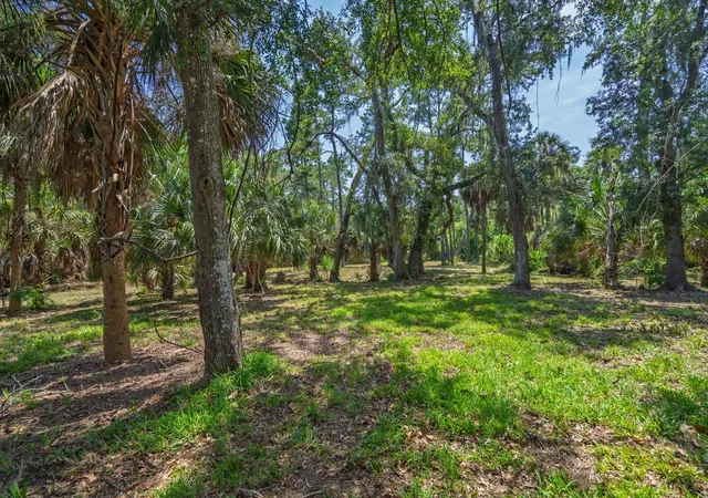Photo 4 of Land for sale at 0 Palmetto Rd, Edisto Island, SC 29438 | MLS# 26023434 | Listing updated on 2026-08-30