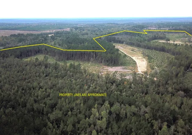 Homes for sale in Williston, SC | 00 Fellowship Rd, Williston, SC 29853 | MLS# 26001755
