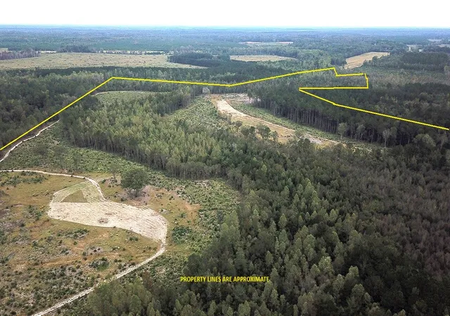 Homes for sale in Williston, SC | 00 Fellowship Rd, Williston, SC 29853 | MLS# 26001755