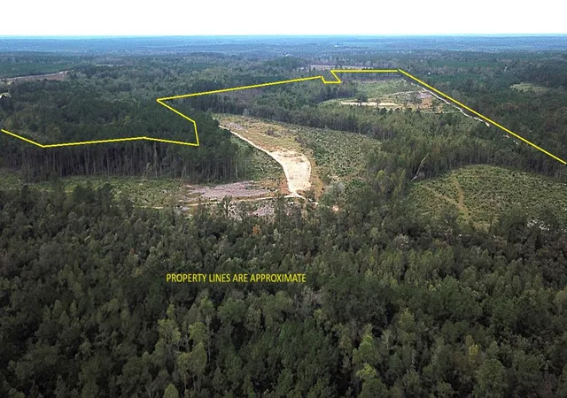 Homes for sale in Williston, SC | 00 Fellowship Rd, Williston, SC 29853 | MLS# 26001755