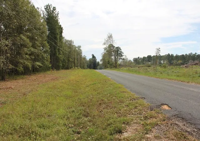 Homes for sale in Williston, SC | 00 Fellowship Rd, Williston, SC 29853 | MLS# 26001755
