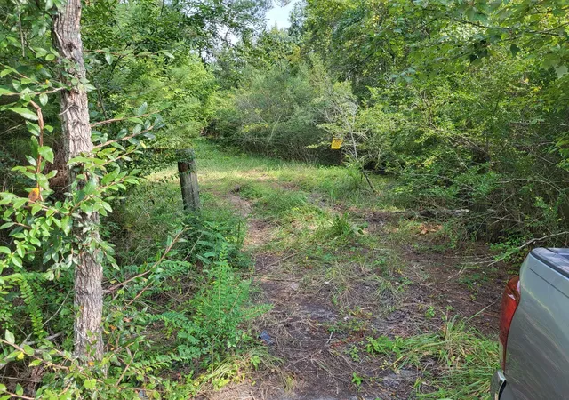 Photo 3 of Land for sale at 1766 Jedburg Rd, Summerville, SC 29486 | MLS# 24025003 | Listing updated on 2026-08-04