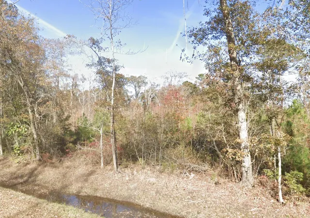 Photo 1 of Sale Pending at 00 Wade Hampton, Hampton, SC 29924 | MLS# 26024148 | Listing updated on 2026-08-27