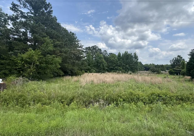 Photo 1 of Land for sale at 0 Avacodo Dr, Santee, SC 29142 | MLS# 26016792 | Listing updated on 2026-07-21