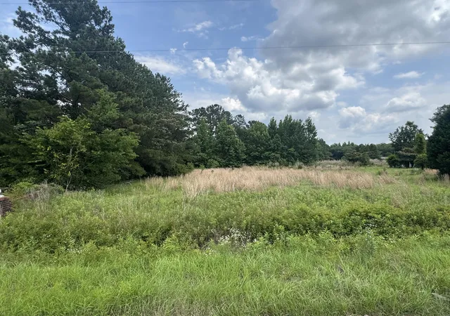 Photo 2 of Land for sale at 0 Avacodo Dr, Santee, SC 29142 | MLS# 26016792 | Listing updated on 2026-07-21