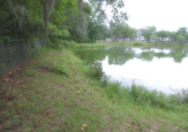 Photo 3 of Land for sale at 0 Folly Rd, Charleston, SC 29412 | MLS# 26015594 | Listing updated on 2026-08-25
