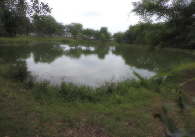 Photo 4 of Land for sale at 0 Folly Rd, Charleston, SC 29412 | MLS# 26015594 | Listing updated on 2026-08-25