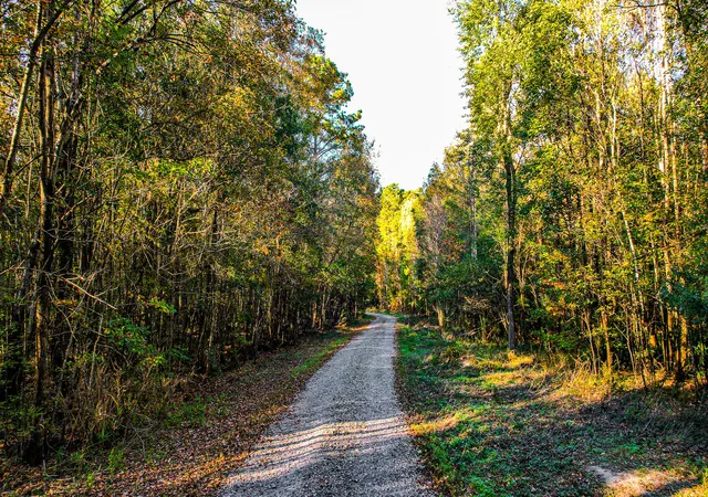 Photo 3 of Single family home for sale at 240 Groomsville Rd, Moncks Corner, SC 29461 | MLS# 25030612 | Listing updated on 2026-10-02