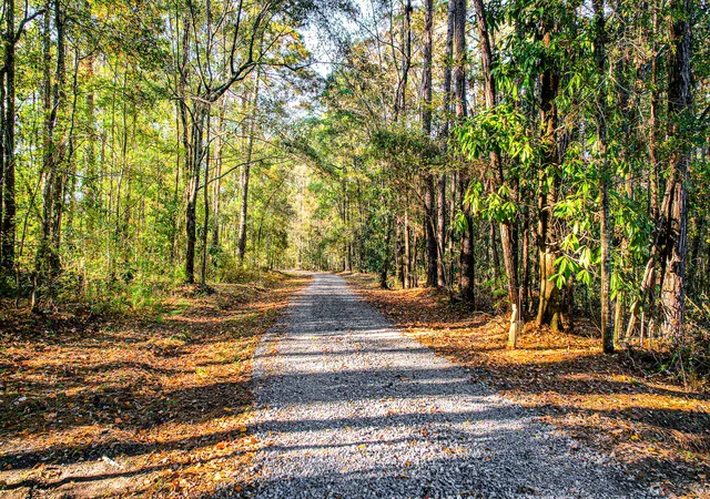 Photo 4 of Single family home for sale at 240 Groomsville Rd, Moncks Corner, SC 29461 | MLS# 25030612 | Listing updated on 2026-10-02