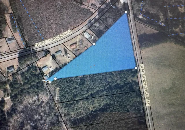 Homes for sale in Cope, SC | Tbd Slablanding Road Road, Cope, SC 29038 | MLS# 26019374