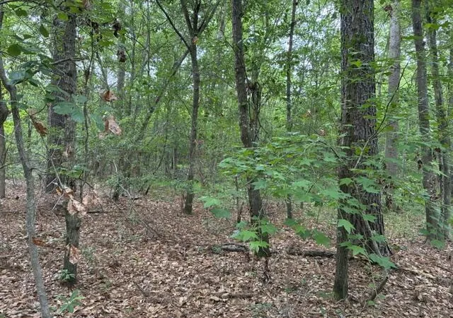 Photo 3 of Land for sale at 0 Joyous Way, Moncks Corner, SC 29461 | MLS# 26013356 | Listing updated on 2026-05-08