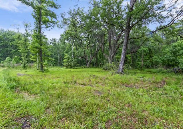 Homes for sale in Edisto Island, SC | 7855 Mary Seabrook Rd, Edisto Island, SC 29438 | MLS# 26012817
