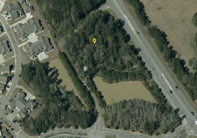 Photo 4 of Land for sale at 0 Highway 176, Goose Creek, SC 29445 | MLS# 25001886 | Listing updated on 2025-06-13
