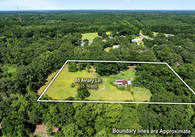 Homes for sale in Green Pond, SC | 60 Aviary Ln, Green Pond, SC 29446 | MLS# 26019614