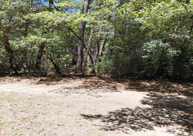 4th image of 312 Hundred Oaks Pkwy, Summerville, SC 29483 | MLS# 26012811