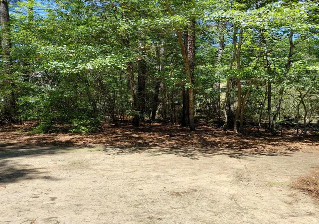 5th image of 312 Hundred Oaks Pkwy, Summerville, SC 29483 | MLS# 26012811