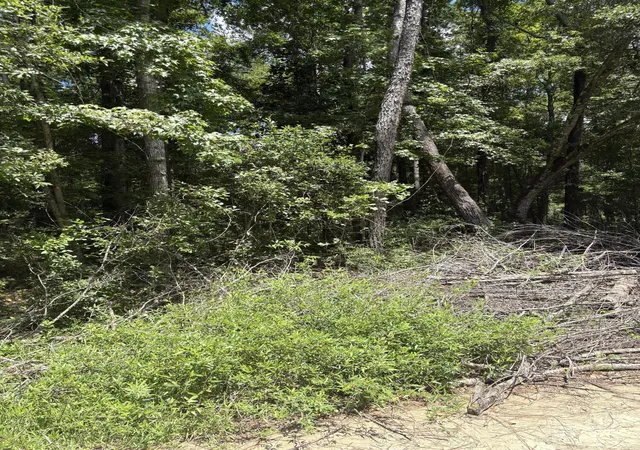 1st image of 0 University Dr #Lot 223, North Charleston, SC 29418 | MLS# 26008027