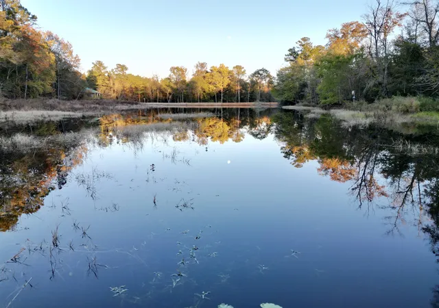 73rd image of 3021 Salley Rd, Salley, SC 29137 | MLS# 26005420