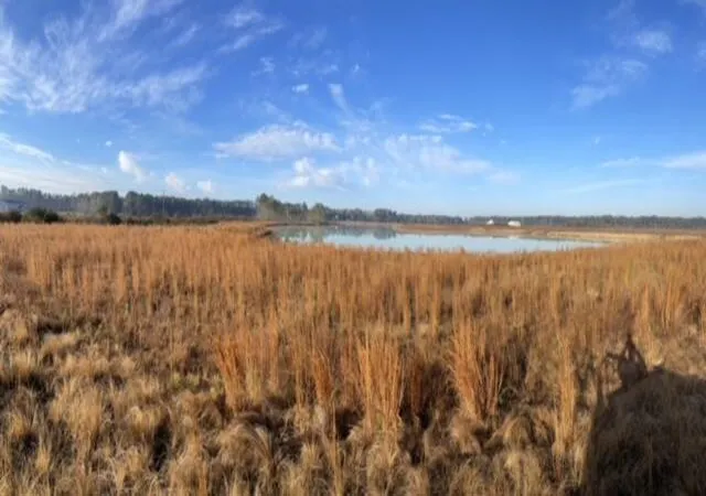 Photo 1 of Land for sale at 765 Percy Ln, Ridgeville, SC 29472 | MLS# 26003892 | Listing updated on 2026-04-09