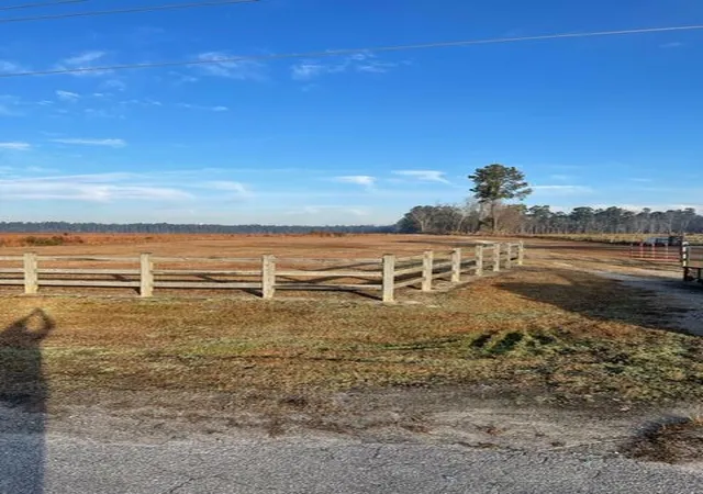 Photo 2 of Land for sale at 765 Percy Ln, Ridgeville, SC 29472 | MLS# 26003892 | Listing updated on 2026-04-09