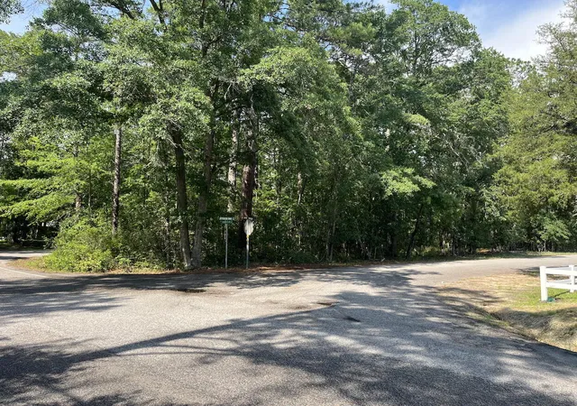 image of 592 Jefferson Davis Ave, Walterboro, SC 29488 | MLS# 26018674