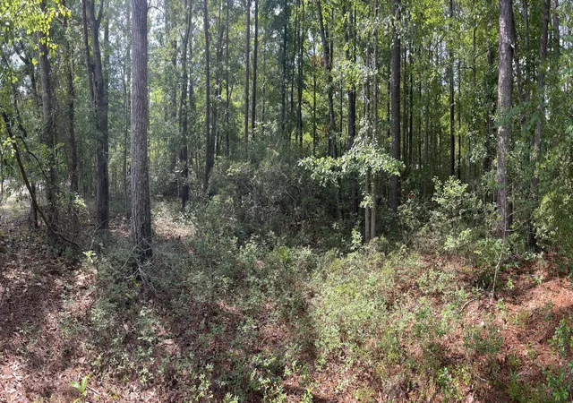 image of 592 Jefferson Davis Ave, Walterboro, SC 29488 | MLS# 26018674