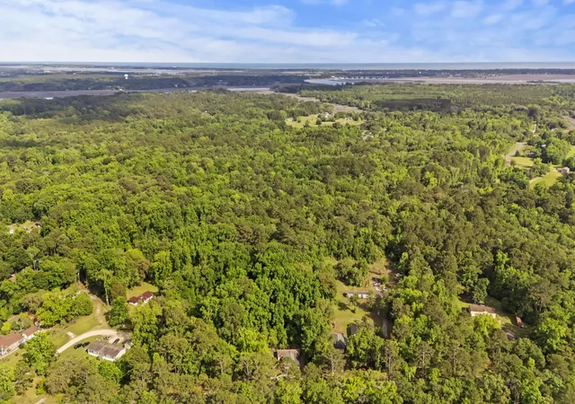 4th image of 2496 Boy Scout Rd, Wadmalaw Island, SC 29487 | MLS# 26013323