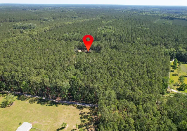 3rd image of 8144 Autumn Mist Ln, Adams Run, SC 29426 | MLS# 26016456
