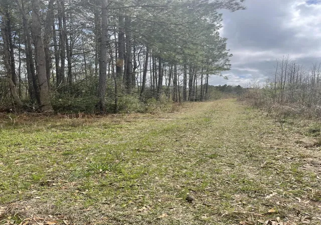 2nd image of Yet Forest Dr, Hemingway, SC 29554 | MLS# 26021918