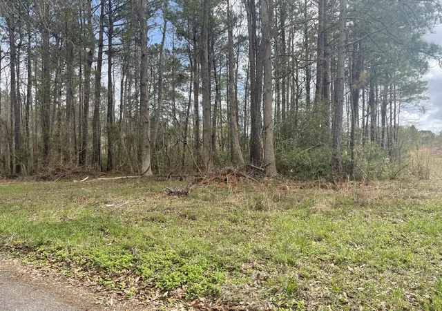 3rd image of Yet Forest Dr, Hemingway, SC 29554 | MLS# 26021918