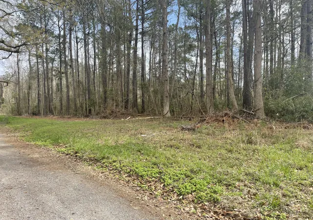 4th image of Yet Forest Dr, Hemingway, SC 29554 | MLS# 26021918