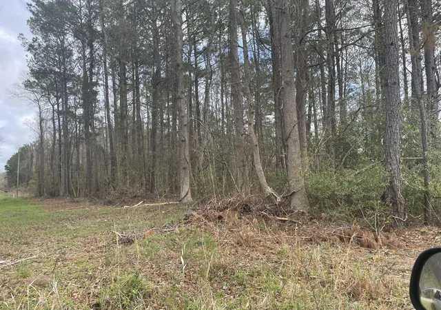5th image of Yet Forest Dr, Hemingway, SC 29554 | MLS# 26021918