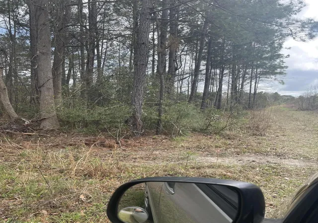 7th image of Yet Forest Dr, Hemingway, SC 29554 | MLS# 26021918