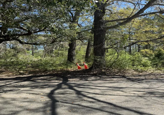 Land for sale at 8730 Northpark Blvd, Charleston, SC 29406 | MLS# 26010397