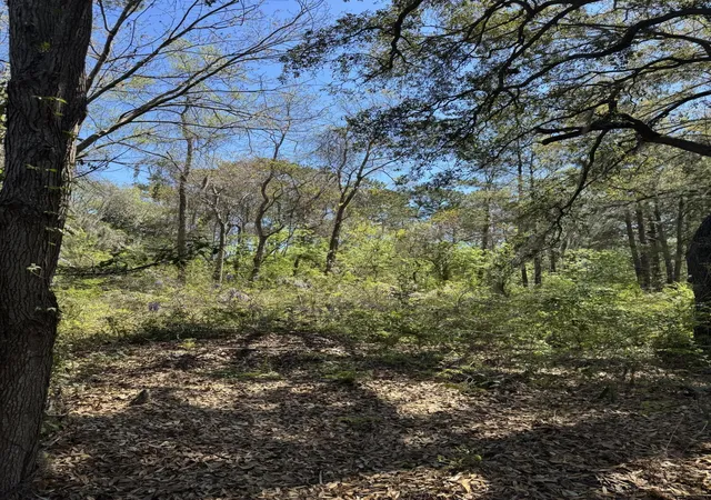 Photo 2 of Land for sale at 8730 Northpark Blvd, Charleston, SC 29406 | MLS# 26010397 | Listing updated on 2026-08-22