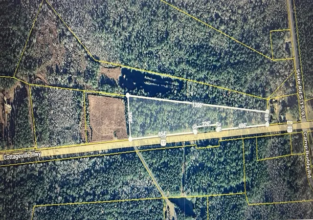 Homes for sale in Cottageville, SC | 00 Cottageville Hwy, Cottageville, SC 29435 | MLS# 26002891