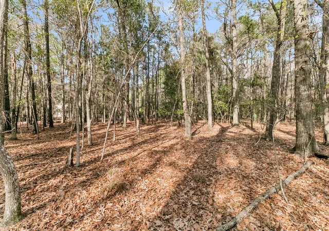 Photo 4 of Land for sale at 3786 Saint Ellens Dr, Mount Pleasant, SC 29466 | MLS# 26002726 | Listing updated on 2026-06-03