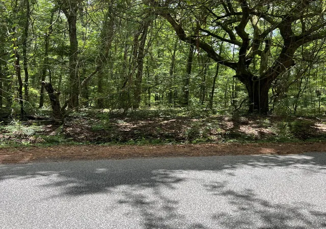 Photo 1 of Sale Pending at 00 Cane Slash Road, Charleston, SC 29401 | MLS# 22017351 | Listing updated on 2024-08-22