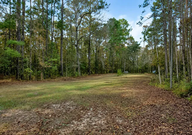 Homes for sale in Ravenel, SC | 5611 S Hwy 165, Ravenel, SC 29470 | MLS# 26015506